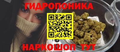 стаф Гулькевичи