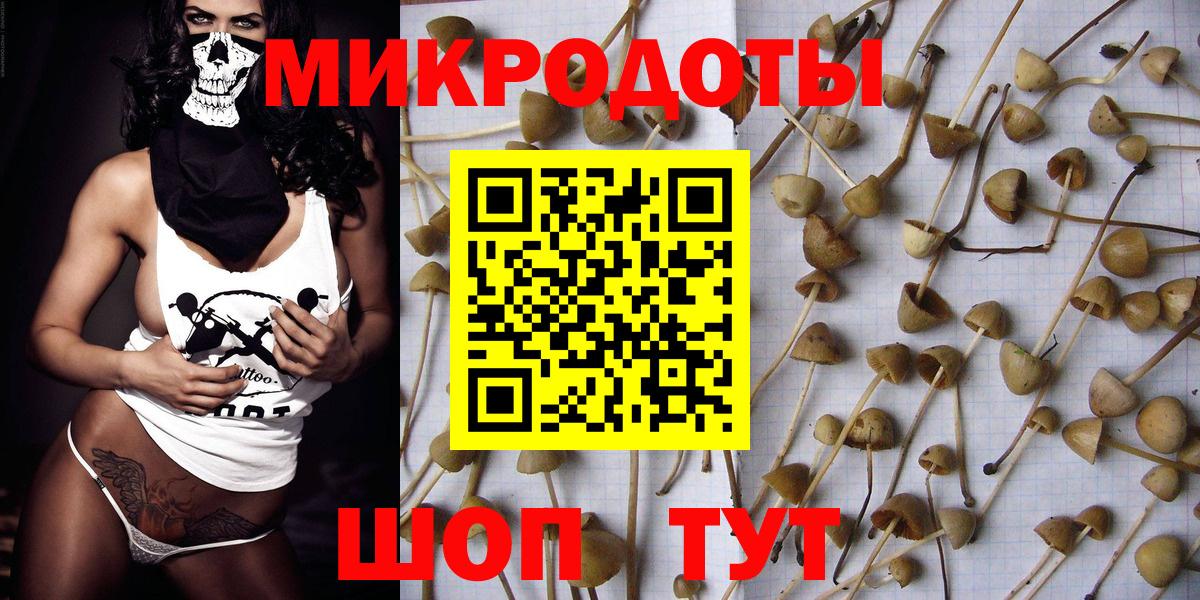 Псилоцибиновые грибы GOLDEN TEACHER  Вход с VPN  Галлюциногенные грибы мицелий  Протвино 